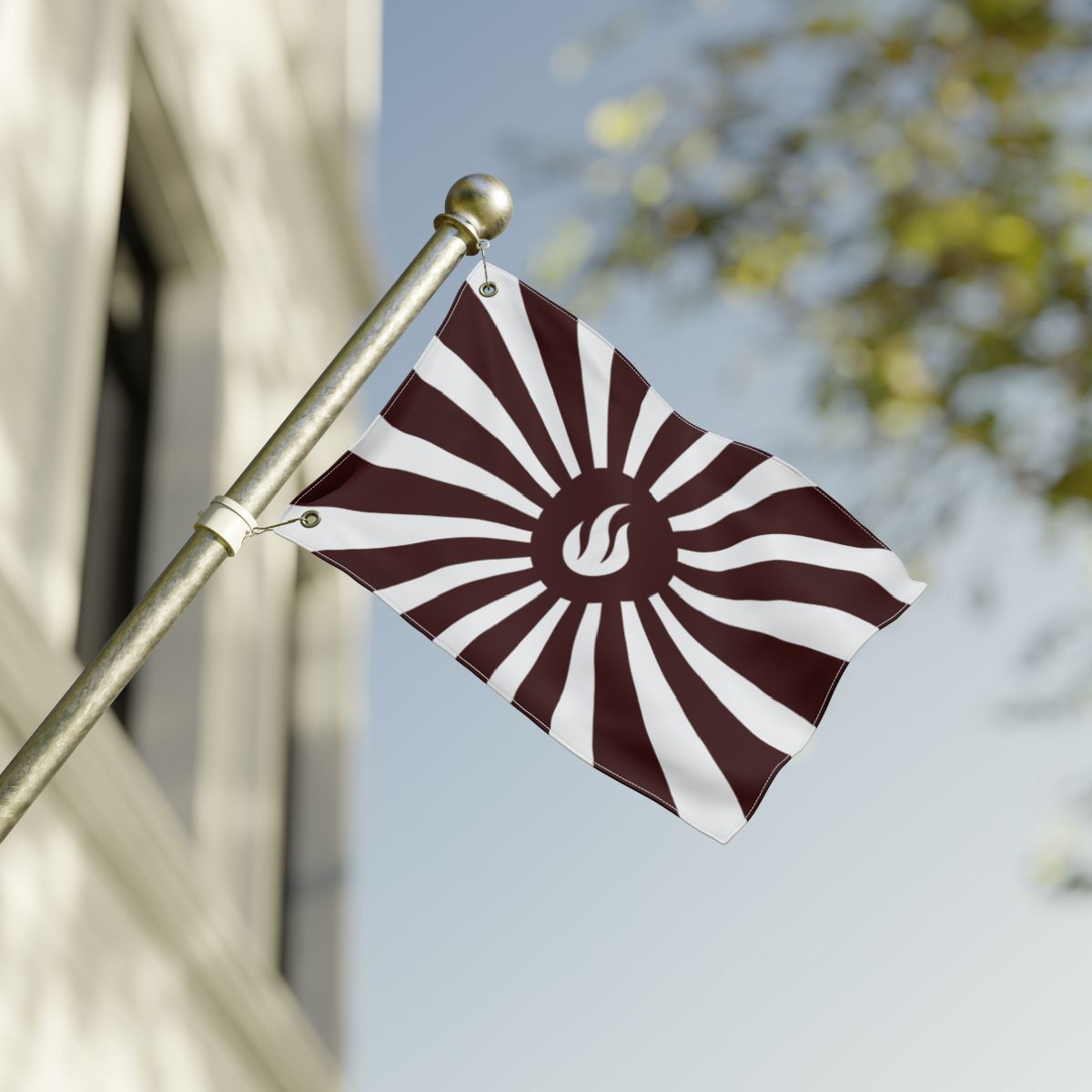 Zaenderist Flag, context 2