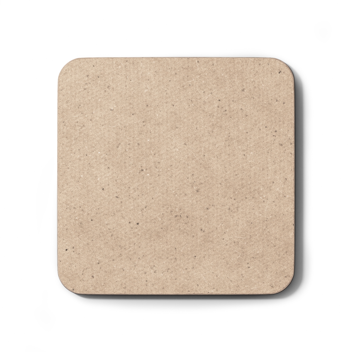 Sabre Cross Coaster, back